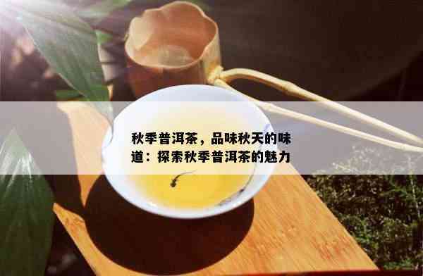 秋季普洱茶，品味秋天的味道：探索秋季普洱茶的魅力