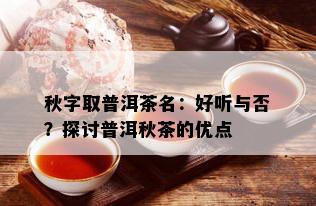 秋字取普洱茶名：好听与否？探讨普洱秋茶的优点