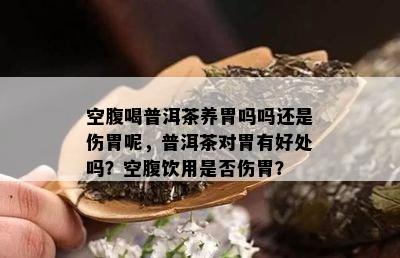 空腹喝普洱茶养胃吗吗还是伤胃呢，普洱茶对胃有好处吗？空腹饮用是否伤胃？