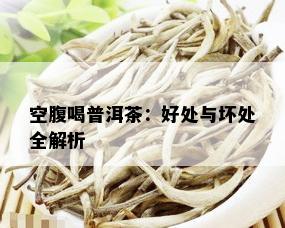 空腹喝普洱茶：好处与坏处全解析