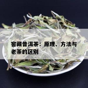 窖藏普洱茶：原理、方法与老茶的区别