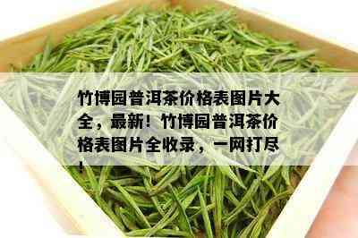 竹博园普洱茶价格表图片大全，最新！竹博园普洱茶价格表图片全收录，一网打尽！