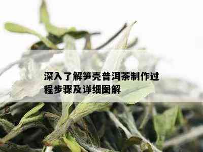 深入了解笋壳普洱茶制作过程步骤及详细图解