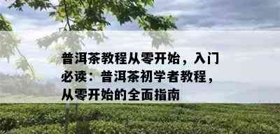 普洱茶教程从零开始，入门必读：普洱茶初学者教程，从零开始的全面指南