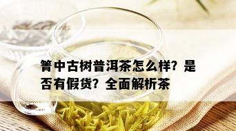 箐中古树普洱茶怎么样？是否有假货？全面解析茶