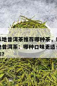 米地普洱茶推荐哪种茶，米地普洱茶：哪种口味更适合你？