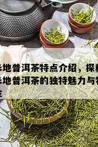 米地普洱茶特点介绍，探秘米地普洱茶的独特魅力与特性