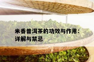 米香普洱茶的功效与作用：详解与禁忌