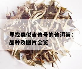 寻找类似吉普号的普洱茶：品种及图片全览