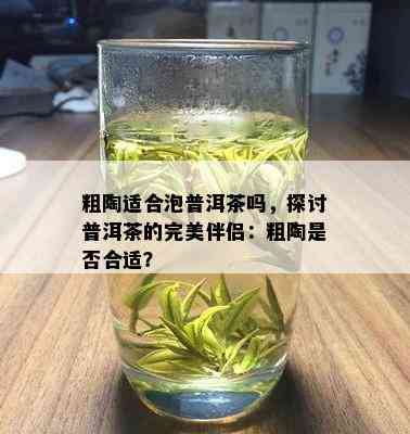 粗陶适合泡普洱茶吗，探讨普洱茶的完美伴侣：粗陶是否合适？