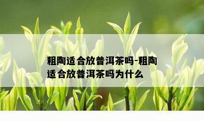 粗陶适合放普洱茶吗-粗陶适合放普洱茶吗为什么