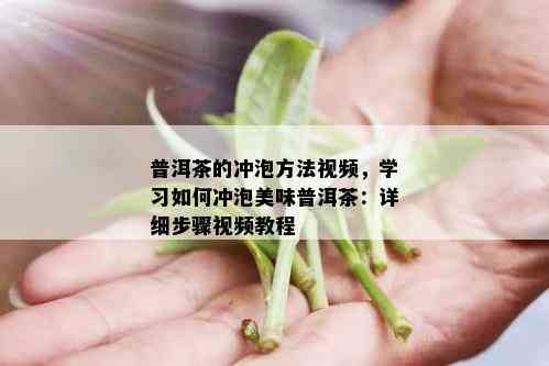 普洱茶的冲泡方法视频，学习如何冲泡美味普洱茶：详细步骤视频教程