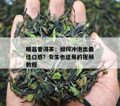 精品普洱茶：如何冲泡出更佳口感？女生也适用的视频教程