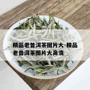 精品老普洱茶图片大-精品老普洱茶图片大高清