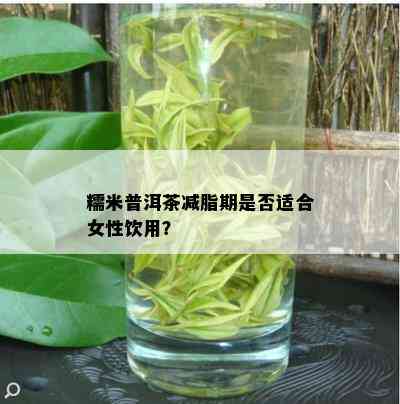 糯米普洱茶减脂期是否适合女性饮用？