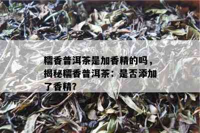 糯香普洱茶是加香精的吗，揭秘糯香普洱茶：是否添加了香精？