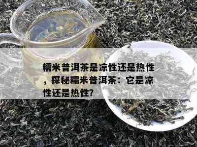 糯米普洱茶是凉性还是热性，探秘糯米普洱茶：它是凉性还是热性？