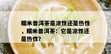 糯米普洱茶是凉性还是热性，糯米普洱茶：它是凉性还是热性？