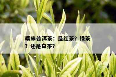 糯米普洱茶：是红茶？绿茶？还是白茶？