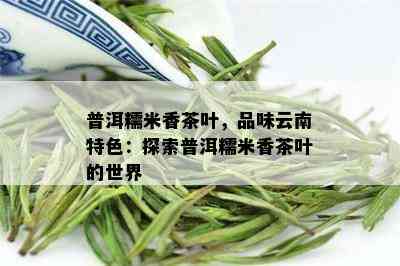 普洱糯米香茶叶，品味云南特色：探索普洱糯米香茶叶的世界