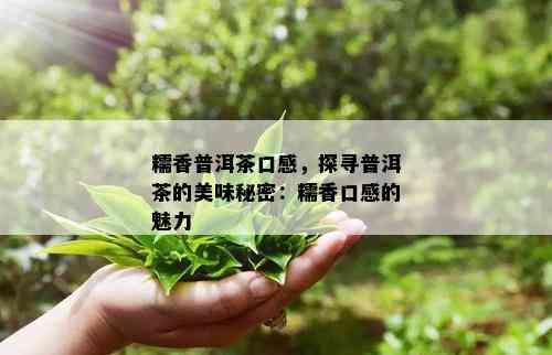 糯香普洱茶口感，探寻普洱茶的美味秘密：糯香口感的魅力