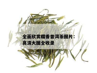 全面欣赏糯香普洱茶图片：高清大图全收录