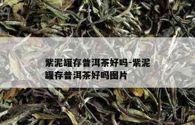 紫泥罐存普洱茶好吗-紫泥罐存普洱茶好吗图片