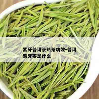 紫牙普洱茶熟茶功效-普洱紫牙茶是什么