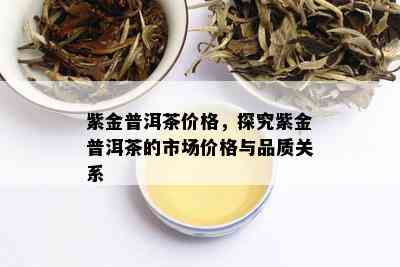 紫金普洱茶价格，探究紫金普洱茶的市场价格与品质关系