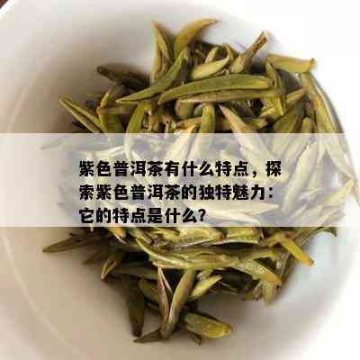 紫色普洱茶有什么特点，探索紫色普洱茶的独特魅力：它的特点是什么？