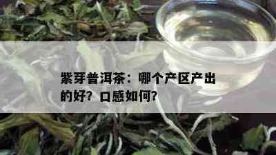 紫芽普洱茶：哪个产区产出的好？口感如何？