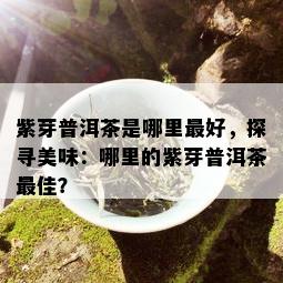 紫芽普洱茶是哪里更好，探寻美味：哪里的紫芽普洱茶更佳？