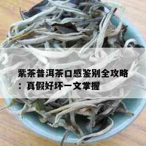 紫茶普洱茶口感鉴别全攻略：真假好坏一文掌握