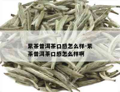 紫茶普洱茶口感怎么样-紫茶普洱茶口感怎么样啊