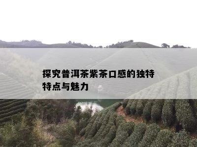 探究普洱茶紫茶口感的独特特点与魅力