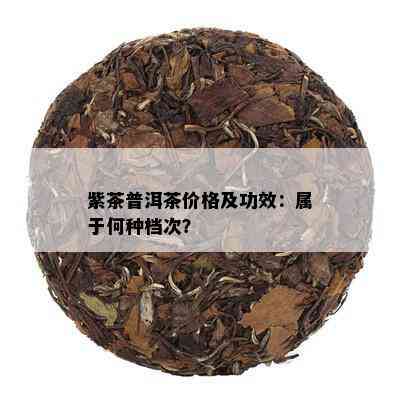 紫茶普洱茶价格及功效：属于何种档次？