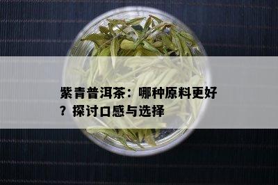 紫青普洱茶：哪种原料更好？探讨口感与选择