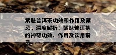 紫魁普洱茶功效和作用及禁忌，深度解析：紫魁普洱茶的神奇功效、作用及饮用禁忌