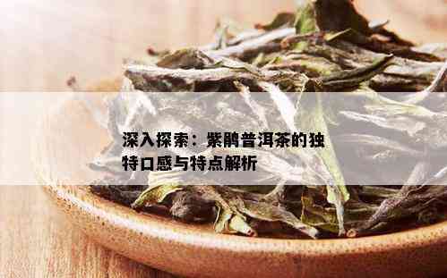 深入探索：紫鹃普洱茶的独特口感与特点解析