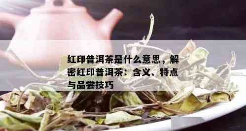 红印普洱茶是什么意思，解密红印普洱茶：含义、特点与品尝技巧