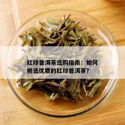 红印普洱茶选购指南：如何挑选优质的红印普洱茶？