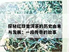 探秘红印普洱茶的历史由来与发展：一段传奇的故事