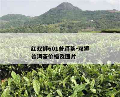 红双狮601普洱茶-双狮普洱茶价格及图片