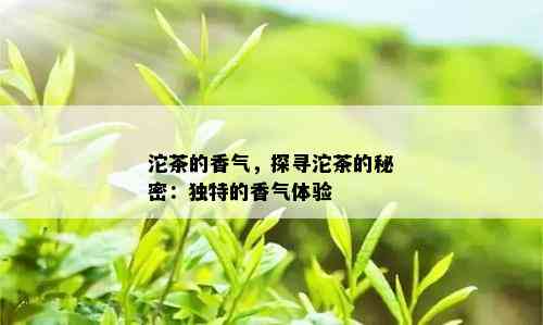 沱茶的香气，探寻沱茶的秘密：独特的香气体验