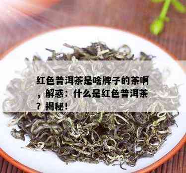 红色普洱茶是啥牌子的茶啊，解惑：什么是红色普洱茶？揭秘！