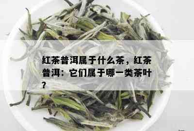 红茶普洱属于什么茶，红茶普洱：它们属于哪一类茶叶？