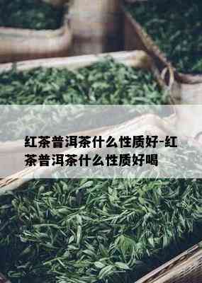 红茶普洱茶什么性质好-红茶普洱茶什么性质好喝