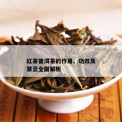 红茶普洱茶的作用、功效及禁忌全图解析