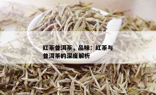 红茶普洱茶，品味：红茶与普洱茶的深度解析