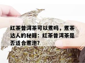 红茶普洱茶可以煮吗，煮茶达人的秘籍：红茶普洱茶是否适合煮泡？